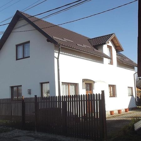 Casa Mocanu Salamás Kültér fotó