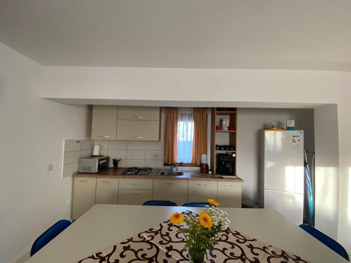 Casa Mocanu Salamás Kültér fotó