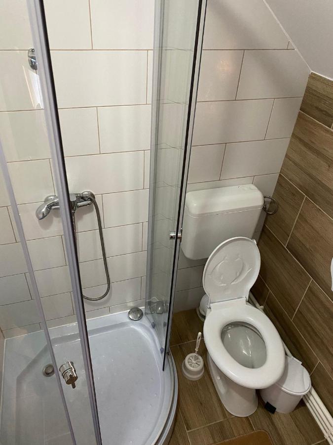 Casa Mocanu Salamás Kültér fotó